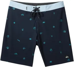 Quiksilver Men's Standard Surfsilk Straight Leg 19 Boardshorts Swim Trunk